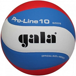 М'яч волейбольний Gala Pro-Line BV5121SA