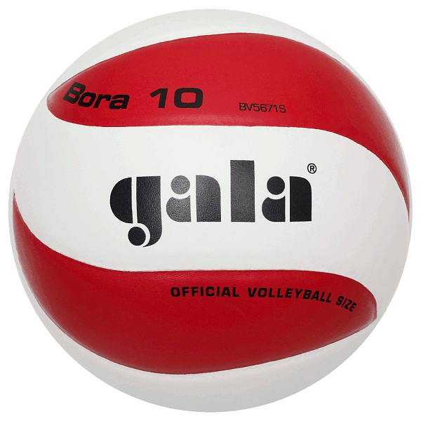 Фото Мяч волейбольный Gala Bora 10 BV5671SC №1