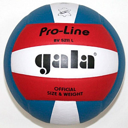 М'яч волейбольний Gala Pro-Line BV5211LAE
