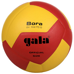 Мяч волейбольный Gala Bora BV5675S
