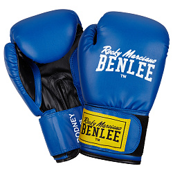 Боксерські рукавички Benlee Rodney 194007