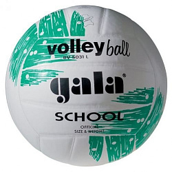 М'яч волейбольний Gala School BV5031LBE