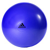Фото Мяч для фитнеса Adidas ADBL-13245PL 55 см фиолетовый №2