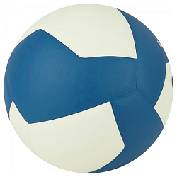 М'яч волейбольний Gala Mistral BV5665S