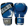 Фото Боксерские перчатки Excalibur Forza 550-03-12 12 унций синий №2