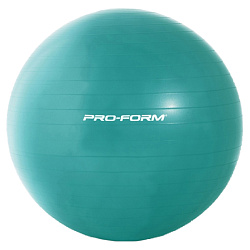 Мяч гимнастический ProForm PFIFB0013