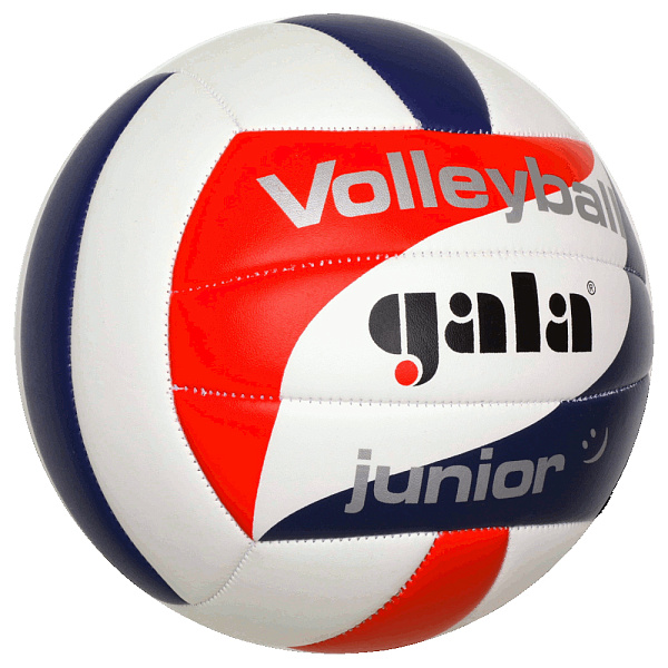 Фото Мяч волейбольный Gala Junior BV5093SC №1