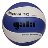 Фото М'яч волейбольний Gala Mistral BV5661SC №2