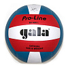 Фото Мяч волейбольный Gala Pro-Line BV5011SAE №2
