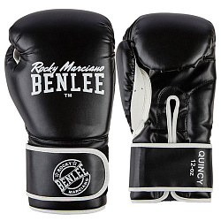 Боксерські рукавички Benlee Quincy 199099