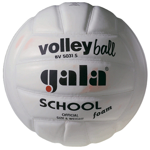 Фото Мяч волейбольный Gala School BV5031SB №1