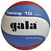 Фото Мяч волейбольный Gala Training BV5561SB №2